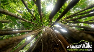 Mount Tambuyukon Expedition  